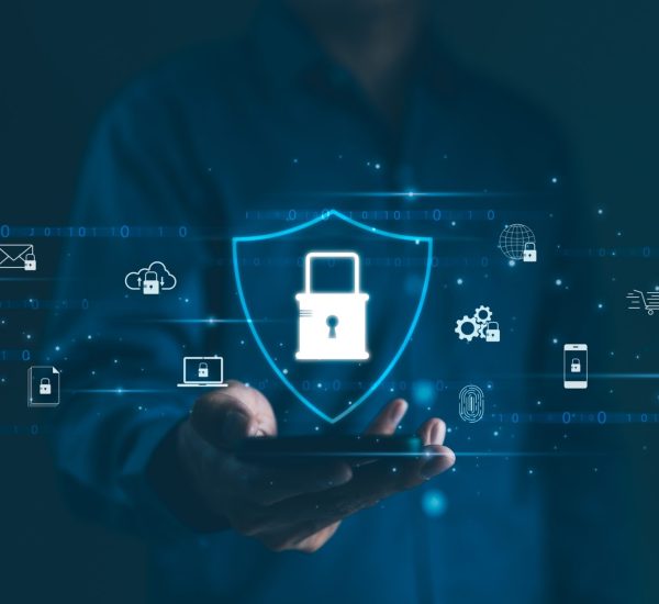 Creating a Stronger Data Protection Plan for Software Assets